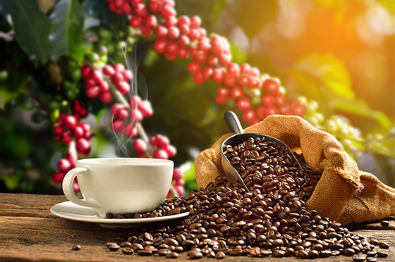 Coffee Beverage Manufactured Products Category